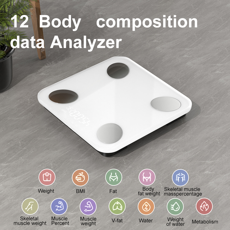 12 body composition metrics analyzer diagram